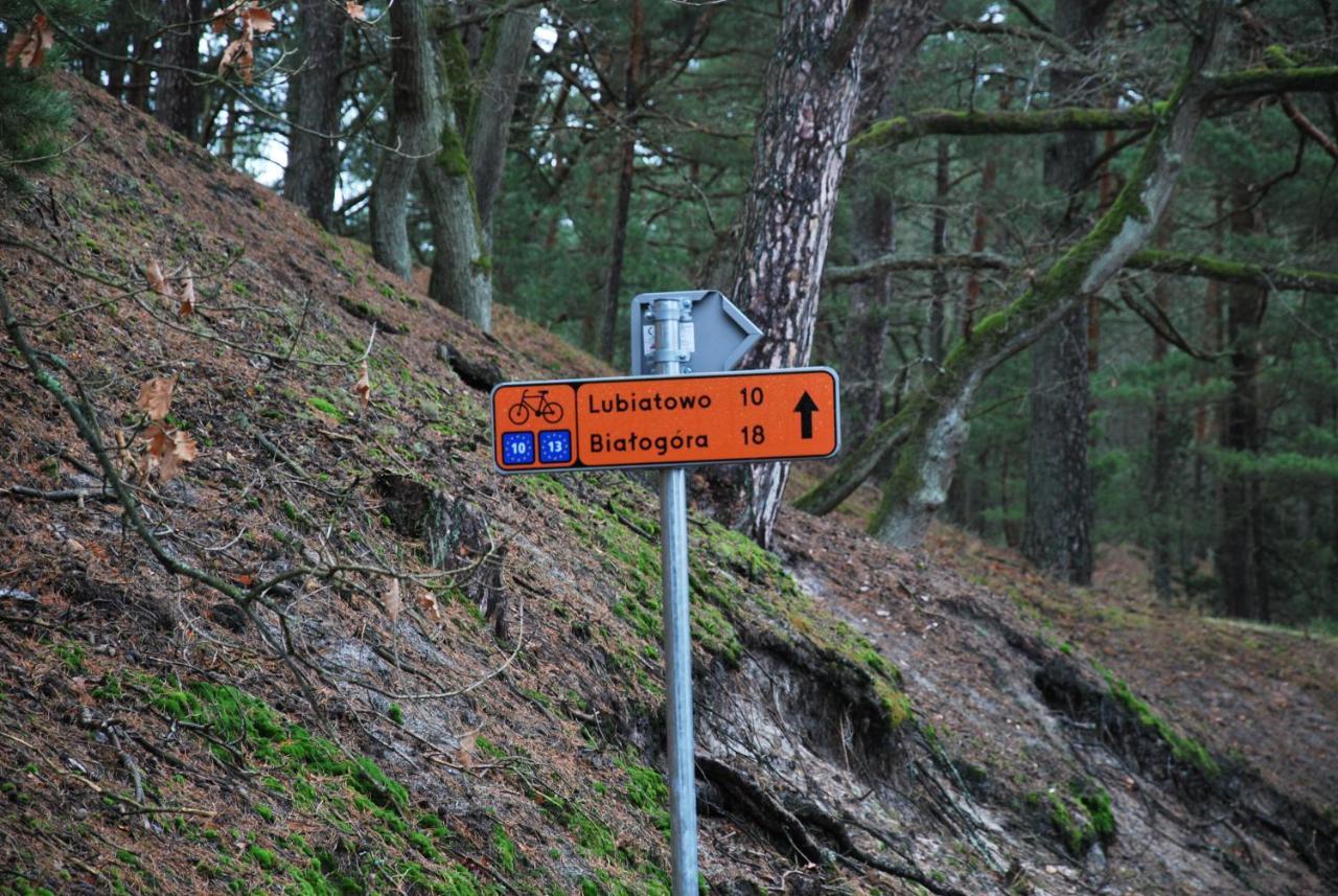 Forest House Sasino-Spa Sauna Balia Exteriör bild